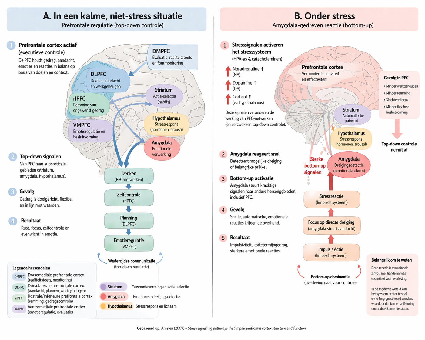 THE PFC Stress vs non stress function