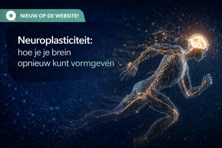 neuroplasticity blog